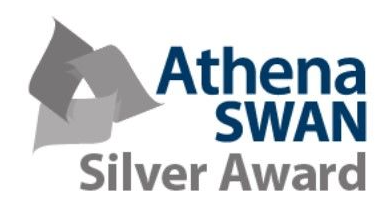 Silver Award